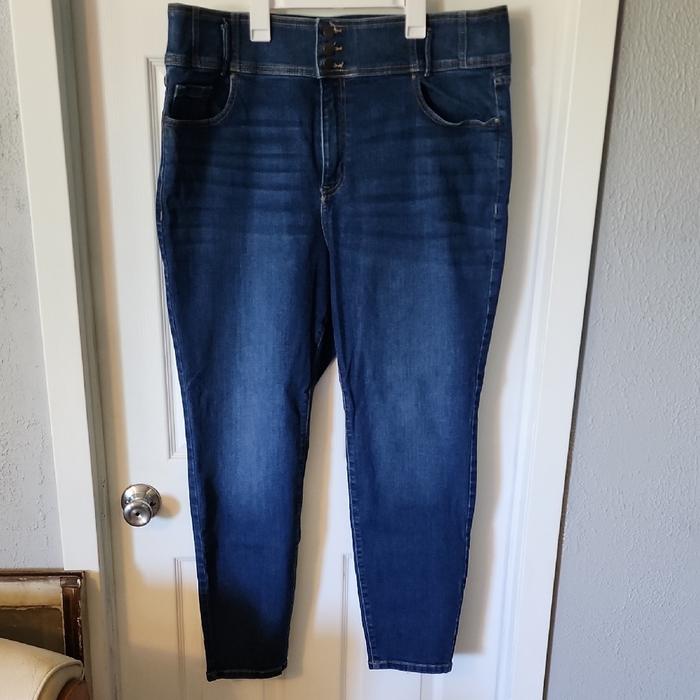 Lane Bryant Women's High Rise Jeans - Dark Blue